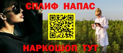 прущие грибы Тверь