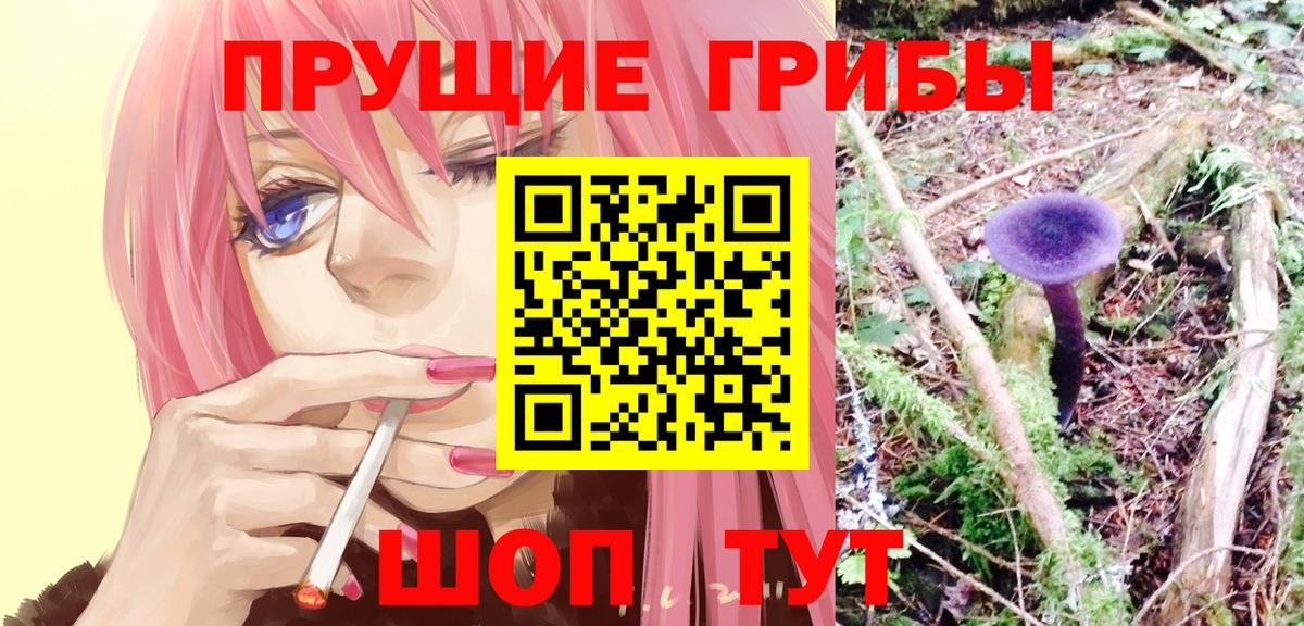 Галлюциногенные грибы Cubensis  Вход с VPN  Бор 
